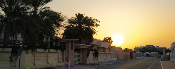 wróżka czy psycholog